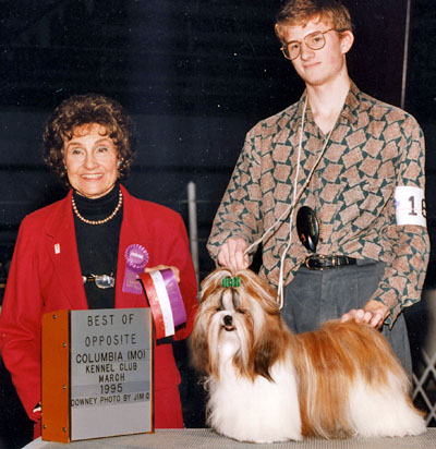 AMERICAN CHAMPION Mijoys Kandy Kane Falling Star (Kandy)