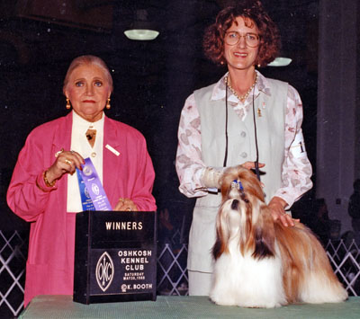 AMERICAN CHAMPION Mijoys Kandy Kane Falling Star (Kandy)