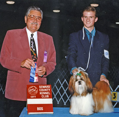 AMERICAN CHAMPION Mijoys Kandy Kane Falling Star (Kandy)