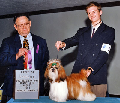 AMERICAN CHAMPION Mijoys Kandy Kane Falling Star (Kandy)
