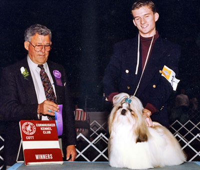 AMERICAN CHAMPION Mijoys Dream Kid Falling Star (Doughboy)