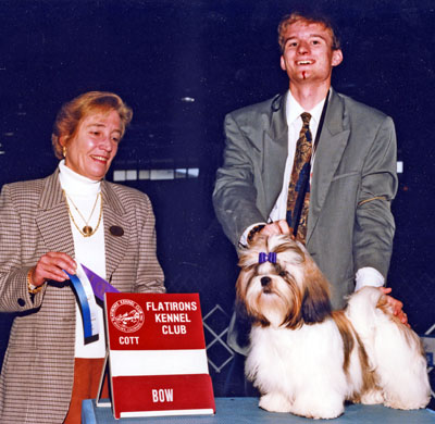 AMERICAN CHAMPION Falling Stars Georgy Porgy Pud-n Pie (Georgy)